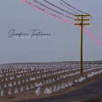 I Am The Sum Of My Parts